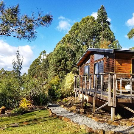 Southern Forest Accommodation Southport ภายนอก รูปภาพ