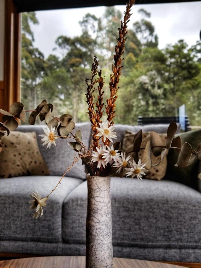 Southern Forest Accommodation Southport ภายนอก รูปภาพ