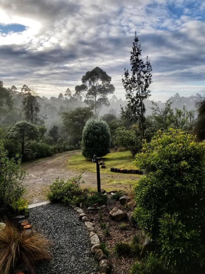 Southern Forest Accommodation Southport ภายนอก รูปภาพ