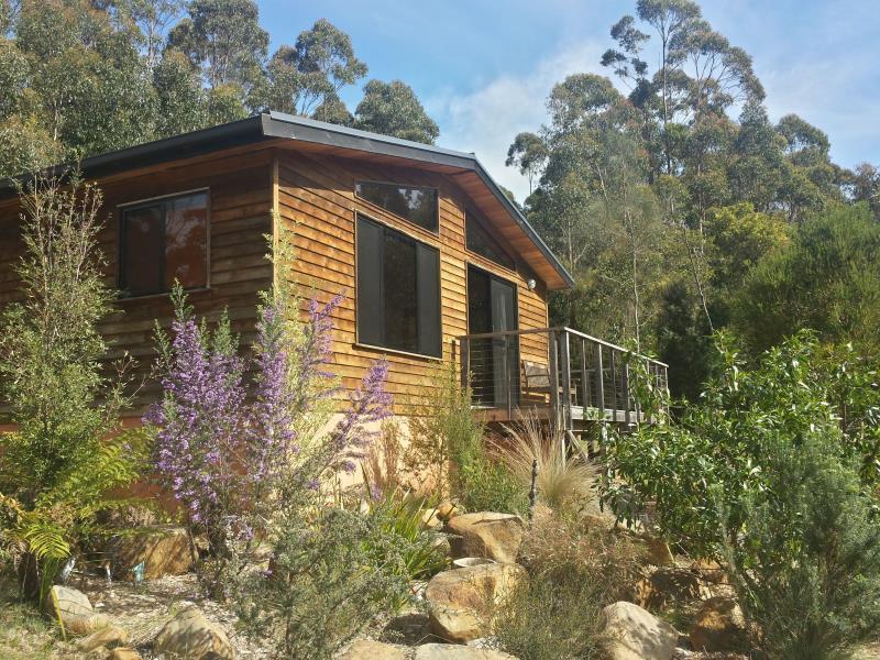 Southern Forest Accommodation Southport ภายนอก รูปภาพ