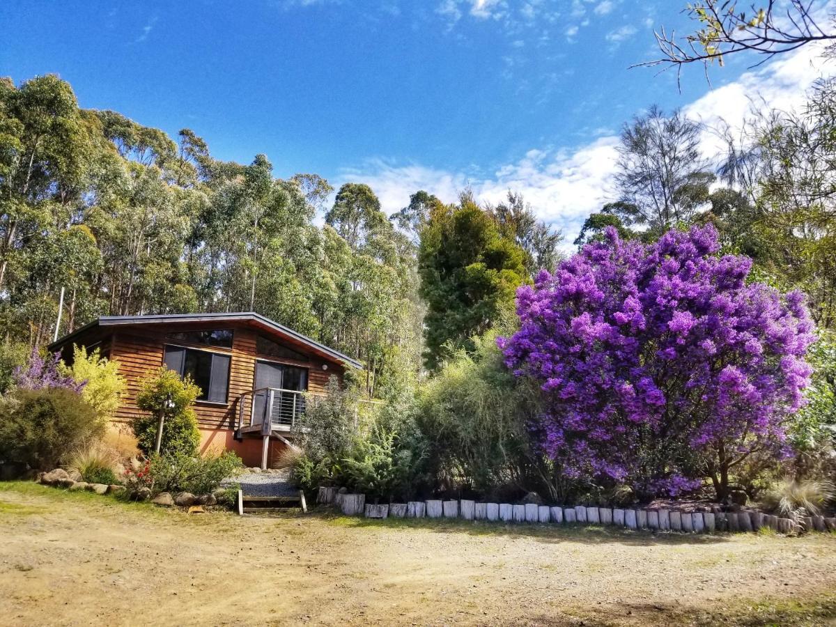 Southern Forest Accommodation Southport ภายนอก รูปภาพ